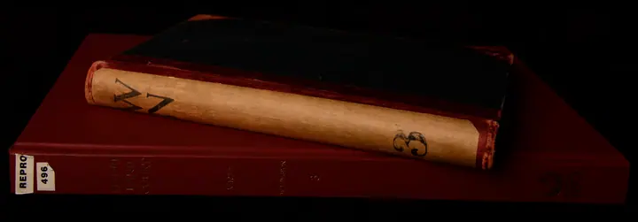 Photographic record of Māori Land Court minute books, providing evidence of original paper records; this is not a 2002 or 2011 GIS screenshot.